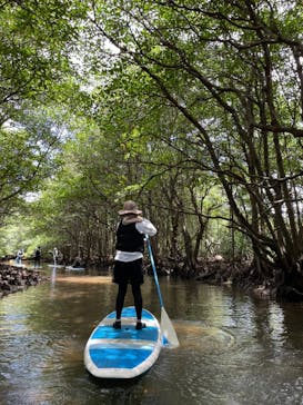 西表島 ADVENTURE PiPi（アドベンチャーピピ）に投稿された画像（2021/5/12）