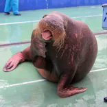 ゼロ距離水族館 伊勢シーパラダイスに投稿された画像（2021/5/12）