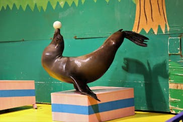 ゼロ距離水族館 伊勢シーパラダイスに投稿された画像（2021/5/12）