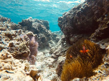 マリンクラブ ベリー 那覇店に投稿された画像（2021/5/12）