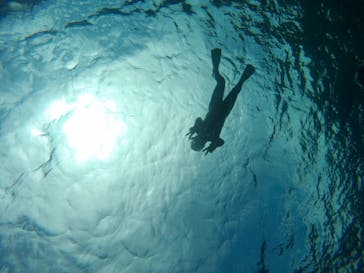 マリンクラブ ベリー 那覇店に投稿された画像（2021/5/12）