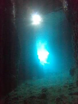 DIVING-SHOP SUNSに投稿された画像（2021/5/13）