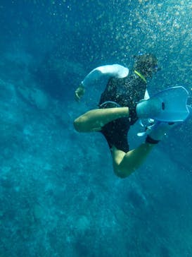 西表島 ADVENTURE PiPi（アドベンチャーピピ）に投稿された画像（2021/5/13）