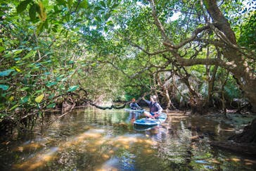 西表島 ADVENTURE PiPi（アドベンチャーピピ）に投稿された画像（2021/5/13）