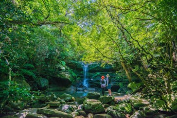 西表島 ADVENTURE PiPi（アドベンチャーピピ）に投稿された画像（2021/5/13）