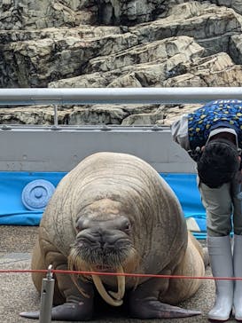 大分マリーンパレス水族館 「うみたまご」に投稿された画像（2021/5/13）