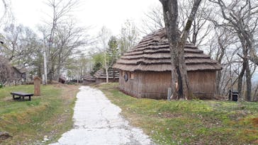 のぼりべつクマ牧場に投稿された画像（2021/5/13）