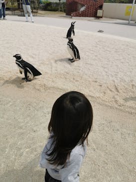 大分マリーンパレス水族館 「うみたまご」に投稿された画像（2021/5/14）