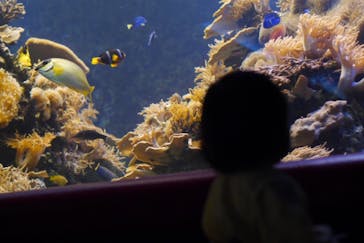 株式会社Gに投稿された画像（2021/5/14）