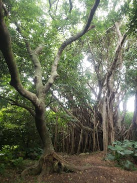 アスムイハイクスに投稿された画像（2021/5/14）