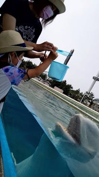 横浜・八景島シーパラダイスに投稿された画像（2021/5/14）