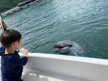 うみたま体験パーク 「つくみイルカ島」に投稿された画像（2021/5/14）