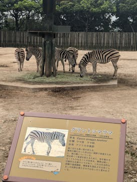 東武動物公園に投稿された画像（2021/5/15）