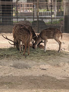 東武動物公園に投稿された画像（2021/5/15）