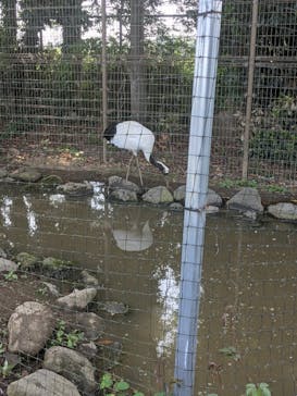 東武動物公園に投稿された画像（2021/5/15）