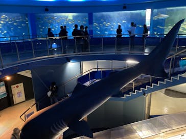 京急油壺マリンパークに投稿された画像（2021/5/15）