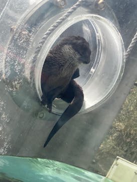 京急油壺マリンパークに投稿された画像（2021/5/15）