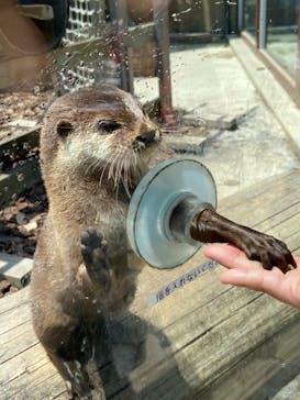 横浜・八景島シーパラダイスに投稿された画像（2021/5/15）