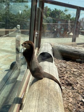 横浜・八景島シーパラダイスに投稿された画像（2021/5/15）