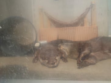 京急油壺マリンパークに投稿された画像（2021/5/15）