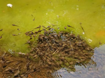 よこはま動物園ズーラシアに投稿された画像（2021/5/15）