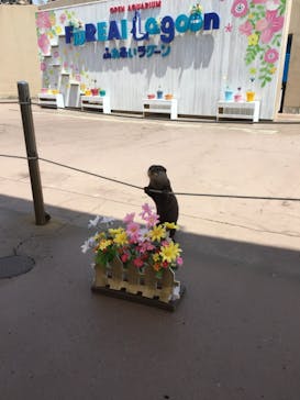 横浜・八景島シーパラダイスに投稿された画像（2021/5/15）