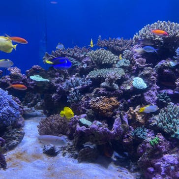 横浜・八景島シーパラダイスに投稿された画像（2021/5/15）