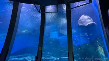 横浜・八景島シーパラダイスに投稿された画像（2021/5/15）