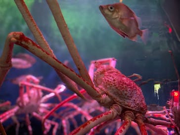 横浜・八景島シーパラダイスに投稿された画像（2021/5/15）