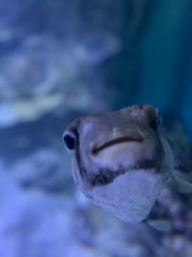 横浜・八景島シーパラダイスに投稿された画像（2021/5/15）