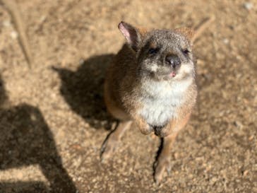 伊豆シャボテン動物公園に投稿された画像（2021/5/15）