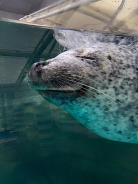 京都水族館に投稿された画像（2021/5/15）