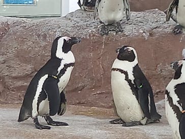 京都水族館に投稿された画像（2021/5/15）