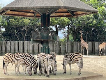 東武動物公園に投稿された画像（2021/5/15）