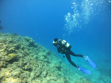 DIVING-SHOP SUNSに投稿された画像（2021/5/15）