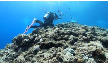 DIVING-SHOP SUNSに投稿された画像（2021/5/15）