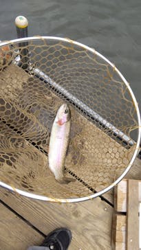 大安トラウトレイクに投稿された画像（2021/5/15）