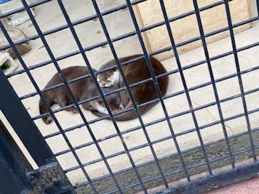 東武動物公園に投稿された画像（2021/5/15）