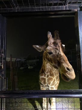 那須サファリパークに投稿された画像（2021/5/15）