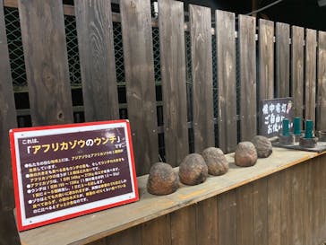 那須サファリパークに投稿された画像（2021/5/15）