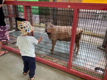 沖縄こどもの国に投稿された画像（2021/5/15）