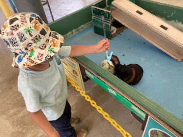 沖縄こどもの国に投稿された画像（2021/5/15）