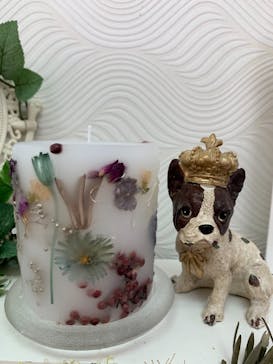 ずこうしつ〜sugamo〜に投稿された画像（2021/5/16）