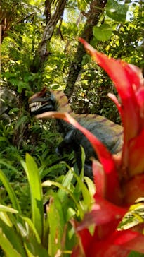 御菓子御殿　名護店　やんばる亜熱帯の森DINO恐竜PARKに投稿された画像（2021/5/16）