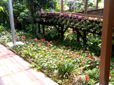 ナゴパイナップルパークに投稿された画像（2021/5/16）