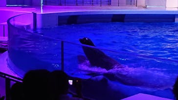 アクアワールド茨城県大洗水族館に投稿された画像（2021/5/16）