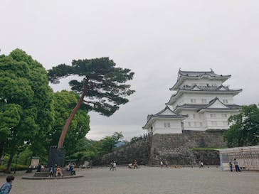 小田原城に投稿された画像（2021/5/16）