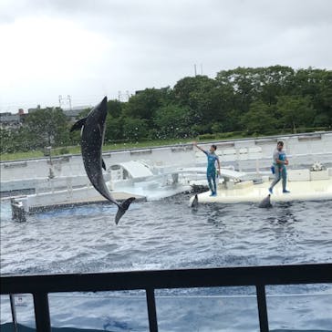 京都水族館に投稿された画像（2021/5/16）