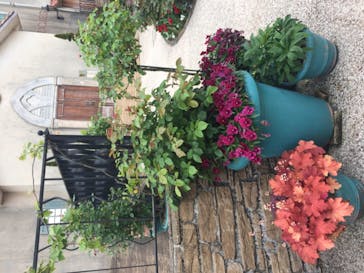 星の王子さまミュージアム 箱根サン=テグジュペリに投稿された画像（2021/5/16）