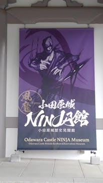 小田原城に投稿された画像（2021/5/16）